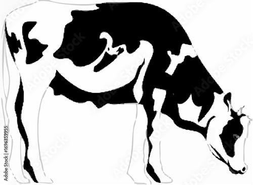 Isolated cute cow silhouette.eps
