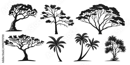 Diverse Silhouette Trees Collection Tropical and Forest