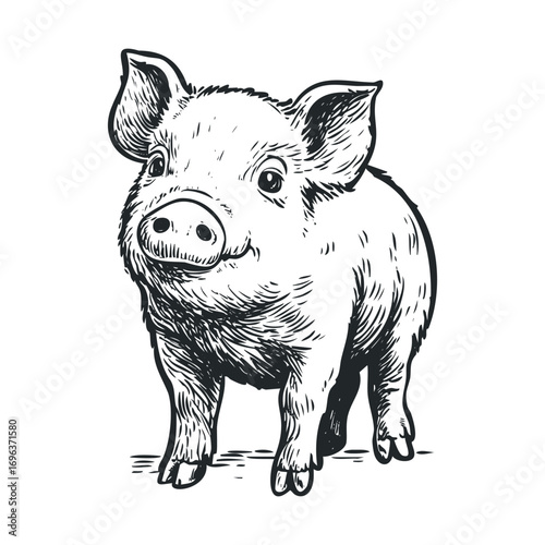 Cute piglet walking in a playful pose for fun designs. Vector hand drawn illustration