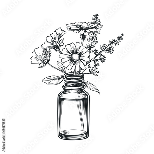 Floral arrangement in a glass jar for home decor and design. Vector hand drawn illustration