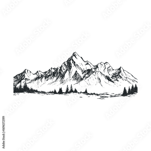 Captivating mountain landscape with pine trees and rugged peaks. Vector hand drawn illustration