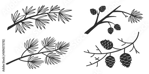 Pine Branches and Cones Silhouette Collection
