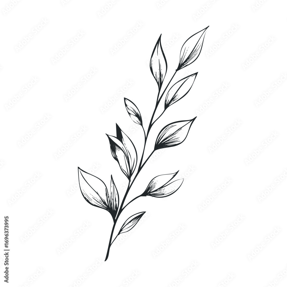 Elegant botanical illustration of a leafy branch for design projects. Vector hand drawn illustration