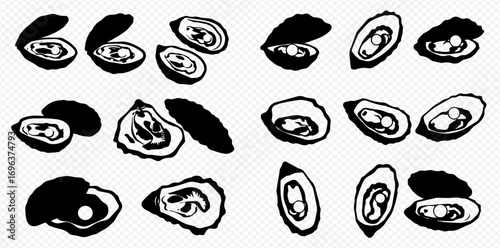 Black and white vector illustration of various oyster shells, some open and some closed, in different orientations.