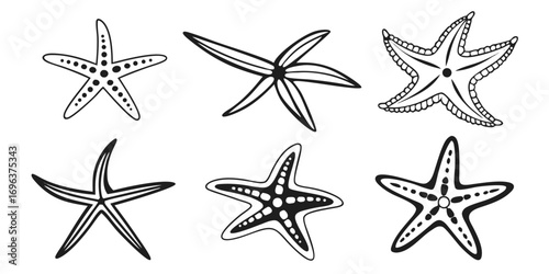 Six Hand-Drawn Starfish Illustrations Collection