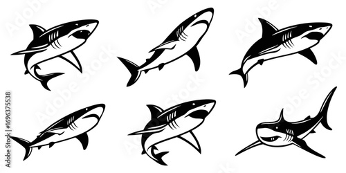Six Stylized Black And White Shark Illustrations