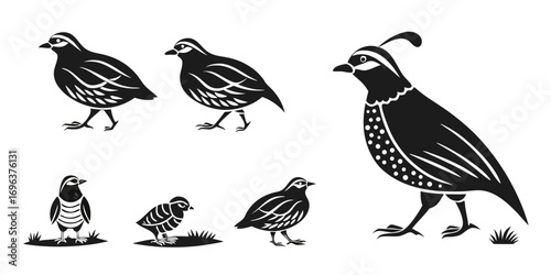 Stylized Black and White Quail Family Silhouette Collection