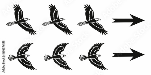 Stylized Black Eagles Flying Towards Arrows