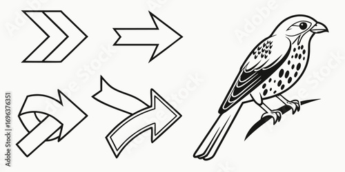 Stylized Falcon Bird and Abstract Arrows