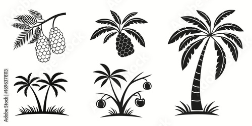 Tropical Palm Trees and Fruit Silhouettes Collection