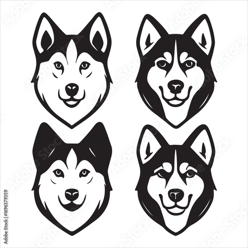 A Majestic and Energetic Siberian Husky, a Wolf-Like Sleddog with Striking Blue Eyes and a Beautiful, Plush Coat, Perfectly Suited for Winter Adventures