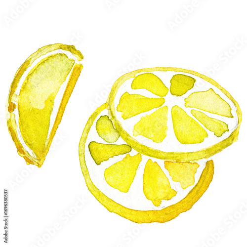 Watercolor painted lemon. Hand drawn fresh fruit design element