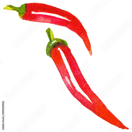 Watercolor painted chili pepper. Hand drawn design element isola