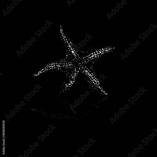 Starfish resting on a dark surface with shimmering textures and intricate details captured in low light setting