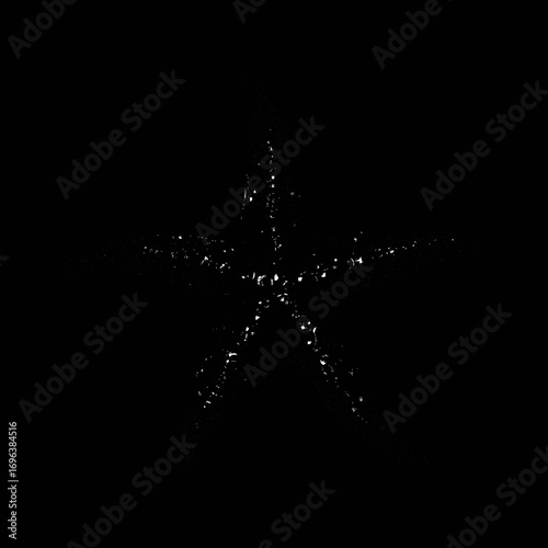 Starfish silhouette against a dark background showcasing marine beauty and ocean life details