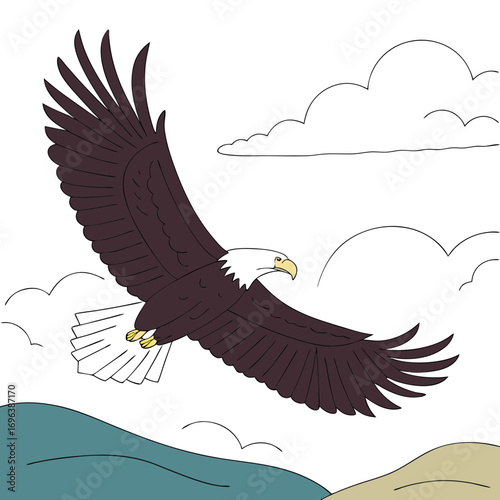Eagle Flying with Wide Wings Sky Vector Illustration