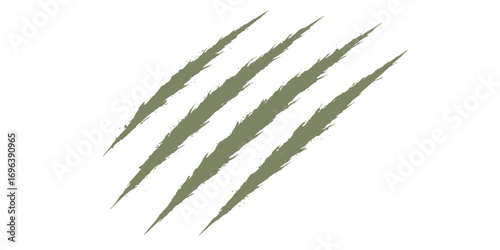 Isolated close-up of a fresh green grass plant with multiple leaves on a clean white background