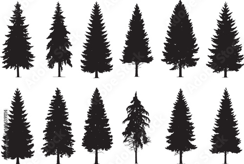 Forest tree silhouettes collection. Pine trees horizontal pattern panorama backgrounds