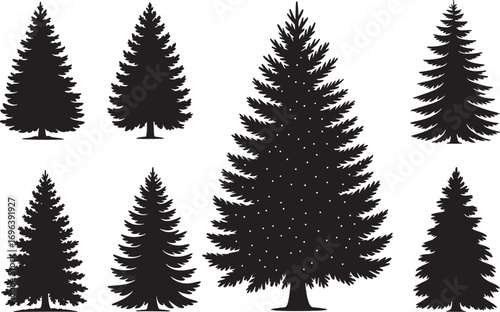 Silhouettes of realistic pine trees