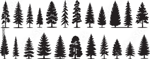 Pine tree silhouette collection on white background.Spruce tree silhouette set on white background