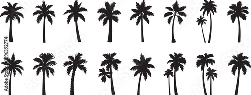 Palm and Coconut Tree Silhouette Vector Set – Tropical Island, Beach, Vacation, and Summer Holiday Icons