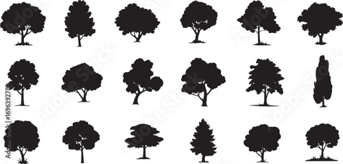 Tree Silhouette Vector Collection – Abstract Botanical Icons of Pine, Spruce, Larch, and Seasonal Nature Elements