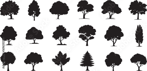 Tree Silhouette Vector Collection – Abstract Botanical Icons of Pine, Spruce, Larch, and Seasonal Nature Elements