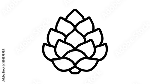 vector illustration of a pine cone