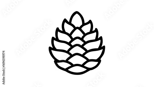 vector illustration of a pine cone