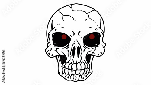 human skull vector illustration