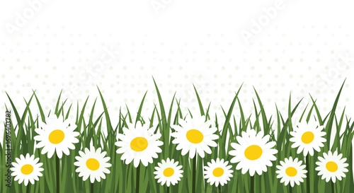Vibrant daisies bloom in lush green grass, perfect for spring and summer nature themes