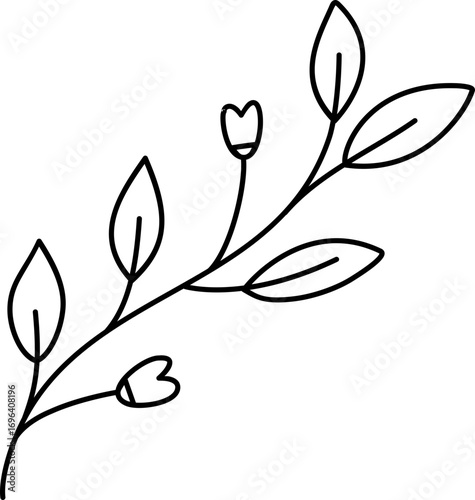 hand drawn flower, hand drawn plant with flower