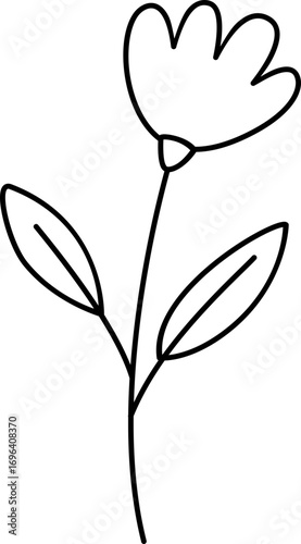 hand drawn flower, hand drawn plant with flower