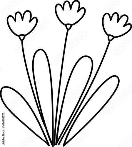 hand drawn flower, hand drawn plant with flower