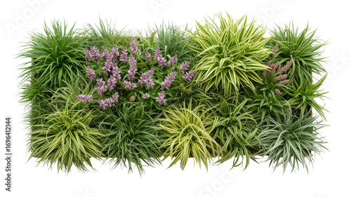Lush Green and Purple Mixed Plant Arrangement in a Planter Box, Top View