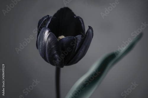 Detailed shot of a black tu...
