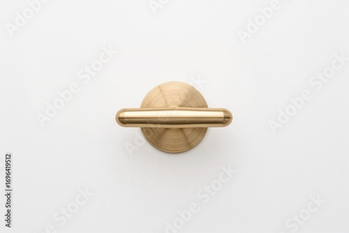 Front view of a bronze door...