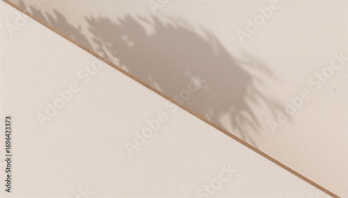 Minimalist design featuring...