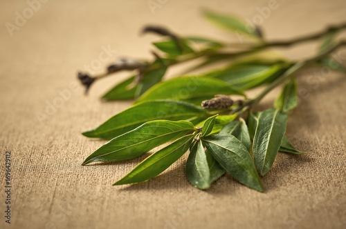 Healthy green tea leaves te...