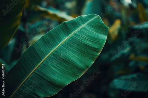 Detailed view of a vibrant ...