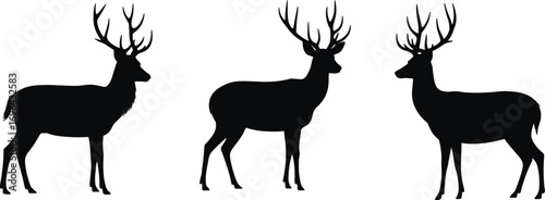 Silhouettes of mature male deer with antlers, wildlife illustration, elegant buck design, nature animal vector, forest creature artwork