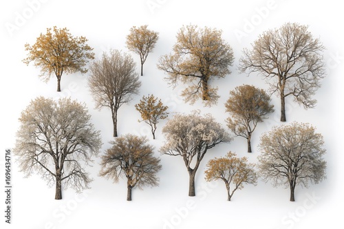 High-resolution isolated tr...