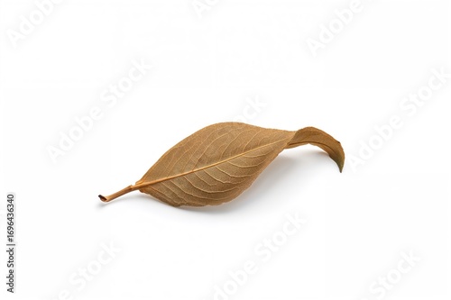 Oolong tea leaves dried and...