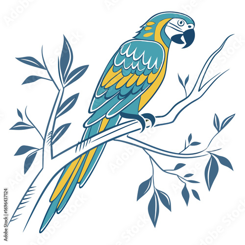 blue and yellow macaw