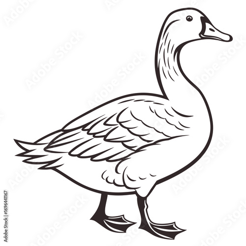 goose on a white background