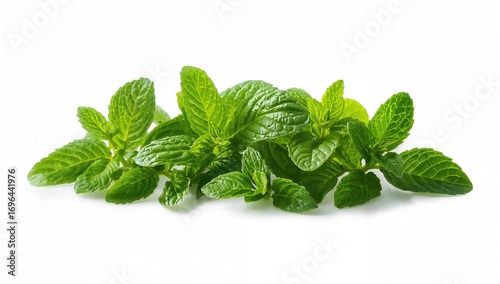 Assortment of vibrant mint ...