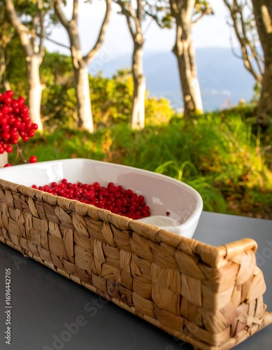 Rustic wooden tray, white bowl, red berries, outdoors