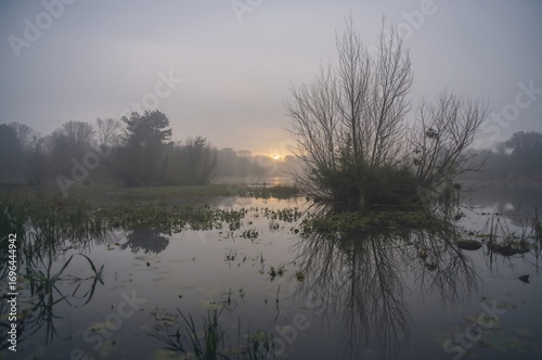 Chilly and moist winter per...