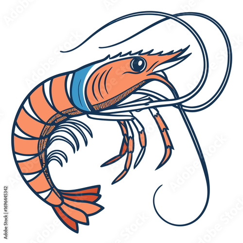 Illustration of a cooked shrimp