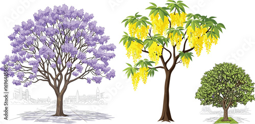 Urban cityscape with jacaranda, golden shower, and green trees in bloom, botanical vector illustration for landscape, gardening, and environmental design"